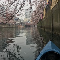 横浜の運河の環境問題を考える